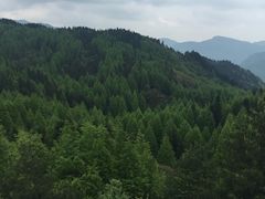 -山王坪喀斯特国家生态公园