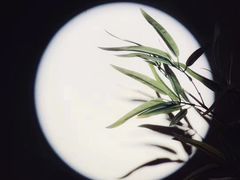 -琶醍壹号•潮菜江景餐吧