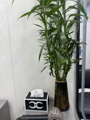 -TRIMS HAIR 修剪造型·烫染接发