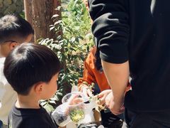 -东明山森林公园