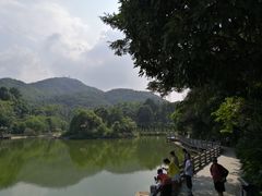 -广州市帽峰山景区