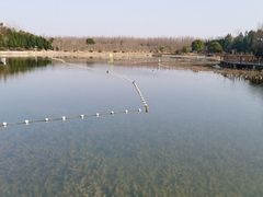 -东平国家森林公园