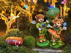 -苏州乐园森林水世界