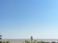 -北海金海湾红树林生态旅游区