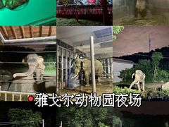 -宁波野生动物园