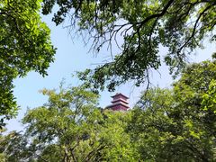 -终南山国家森林公园