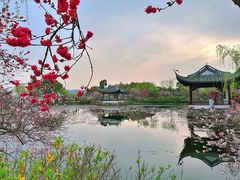 -无锡蠡湖国家湿地公园-蠡园