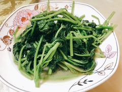 炒芍尖-洪霞餐馆