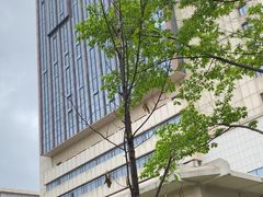-长沙晚报大道亚朵酒店
