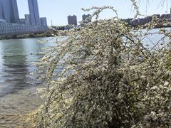 -天鹅湖体育公园