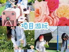 -栖露营camping·天幕烧烤·团建拓展·采摘营地