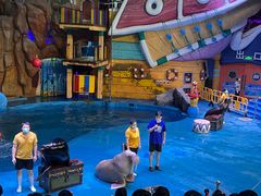 -烟台海昌鲸鲨海洋公园