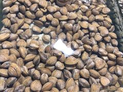 -福春大市场水产厅