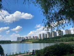-丁香湖公园