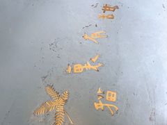 -猫里有甜