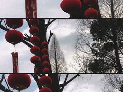-良渚古城遗址公园