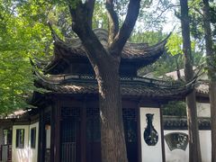 -汇龙潭