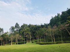 -火炉山森林公园