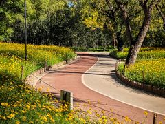 -朝阳公园游乐园