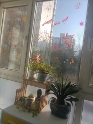 -金都微美·精准护肤·疗愈SPA