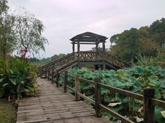 -艾溪湖湿地公园