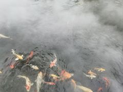 -杭州西湖柳莺里酒店