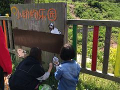 -前小桔亲子创意农场·草莓采摘·露营烧烤