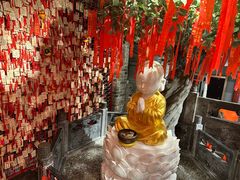-唐山宴百姓府邸院落中餐