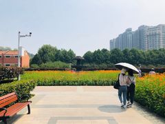 -辛亥革命博物院北区
