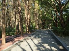 -同里国家湿地公园