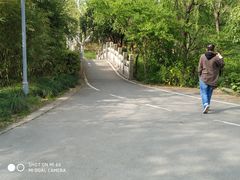 -新江湾城公园