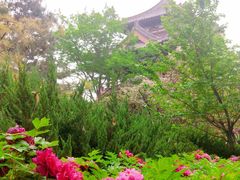 -西安乐游原