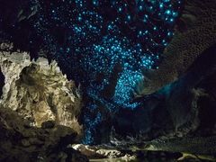 -怀托摩萤火虫洞