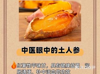  中医视角下的宝藏食材 | 土人参（红薯）