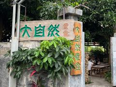 -大自然素食(望桐路店)