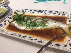 鲥鱼-宁波状元楼酒店(和义路店)