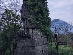 -山王坪喀斯特国家生态公园