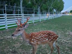 -渔岛海洋度假区