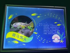 -常州海昌海洋探索馆