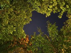 -腾冲洞山温泉村