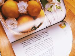 -WHEN PIGS FLY当猪飞