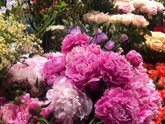 -谷莠子花艺·气球派对·绿植造景·花艺沙龙(金光华广场店)