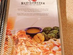 -RED LOBSTER(dubai mall)
