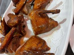 -东鸽皇(奥园·中环广场店)