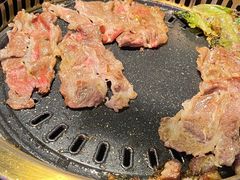 -杨记齐齐哈尔烤肉(五莲路店)