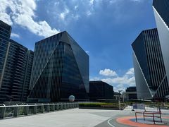 -凤凰湘语(浦东旗舰店)