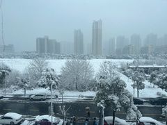 -墨泉峰味(润和国际广场店)