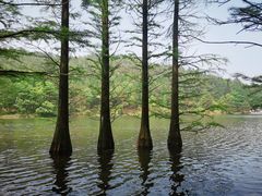 -四明山国家森林公园