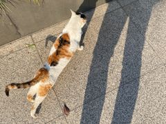 -苏州河梦清园环保主题公园