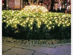 -西湖天地